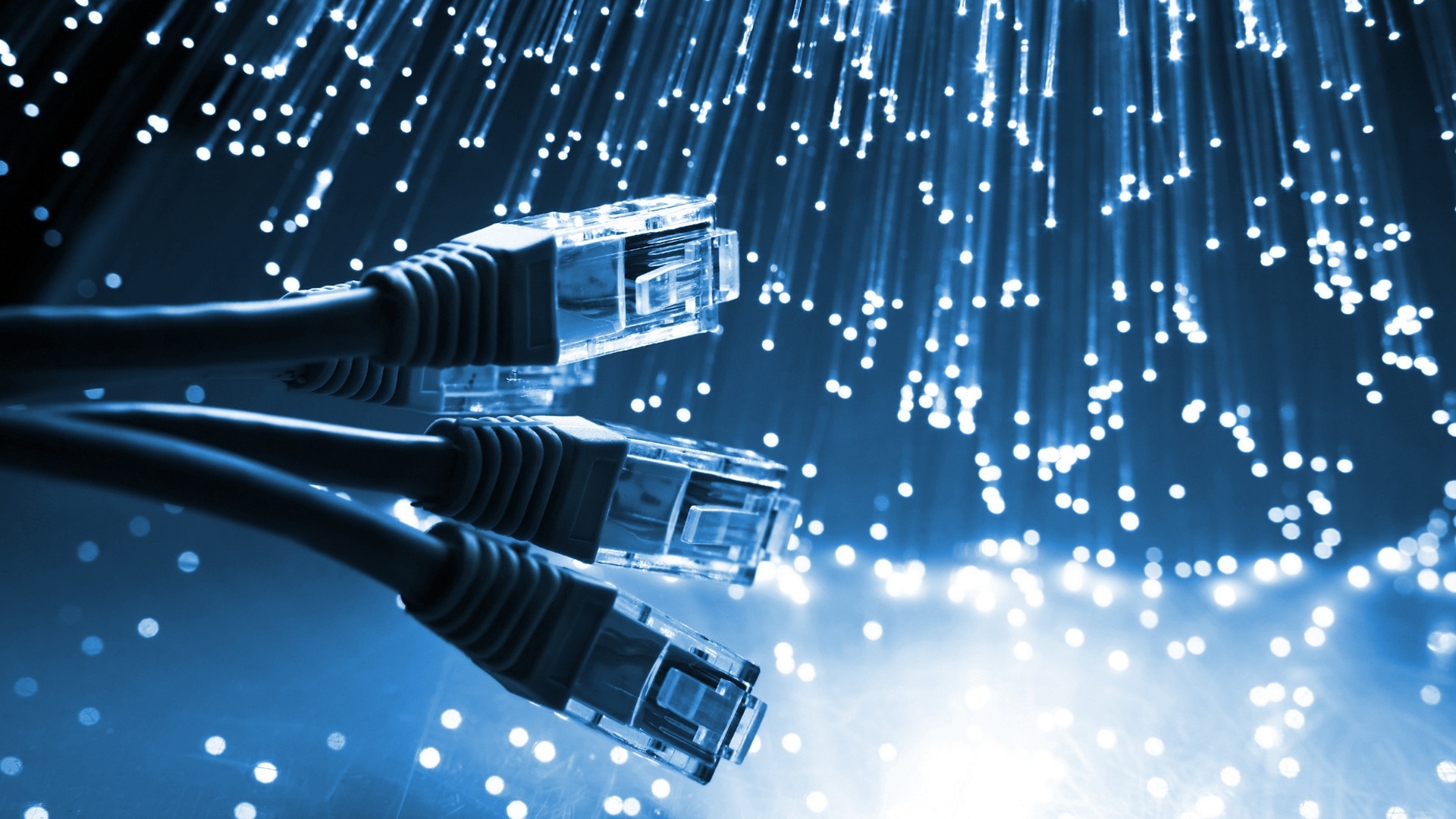 3ft - Cat5e Ethernet Patch Cable